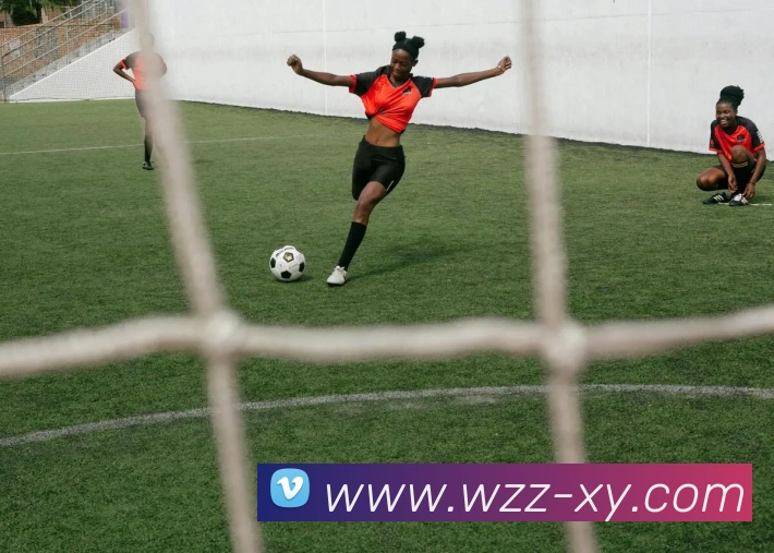 App Interface Preview